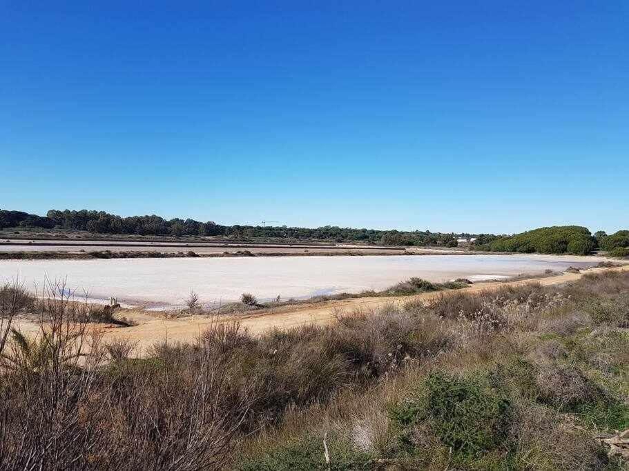 Ria Formosa Pineview Villa Faro Exterior photo